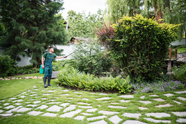 Best Lawn Grading and Leveling  in Alva, FL